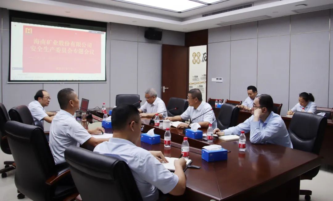 海南礦業(yè)安委會學(xué)習(xí)宣貫《關(guān)于進一步加強礦山安全生產(chǎn)工作的意見》
